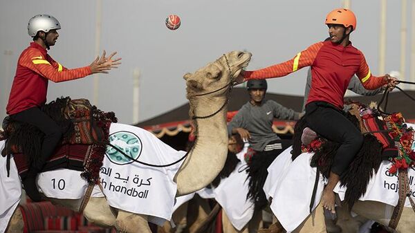 Katar'da 'Dünya Kupası ve Deve' etkinliği: Develer üzerinde hentbol maçı oynandı - Sputnik Türkiye