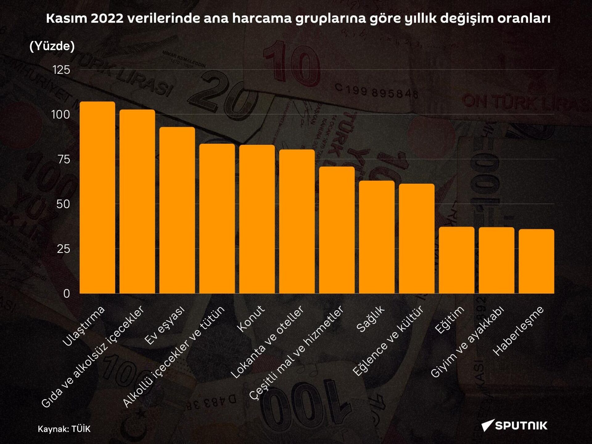 Ana harcama gruplarına göre yıllık değişim oranları - Sputnik Türkiye, 1920, 26.12.2022