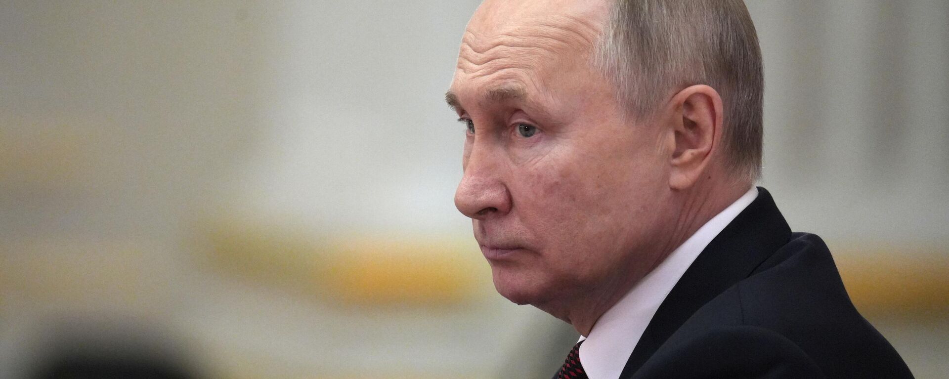 Президент РФ В. Путин принял участие в работе неформального саммита СНГ в Санкт-Петербурге - Sputnik Türkiye, 1920, 18.01.2023