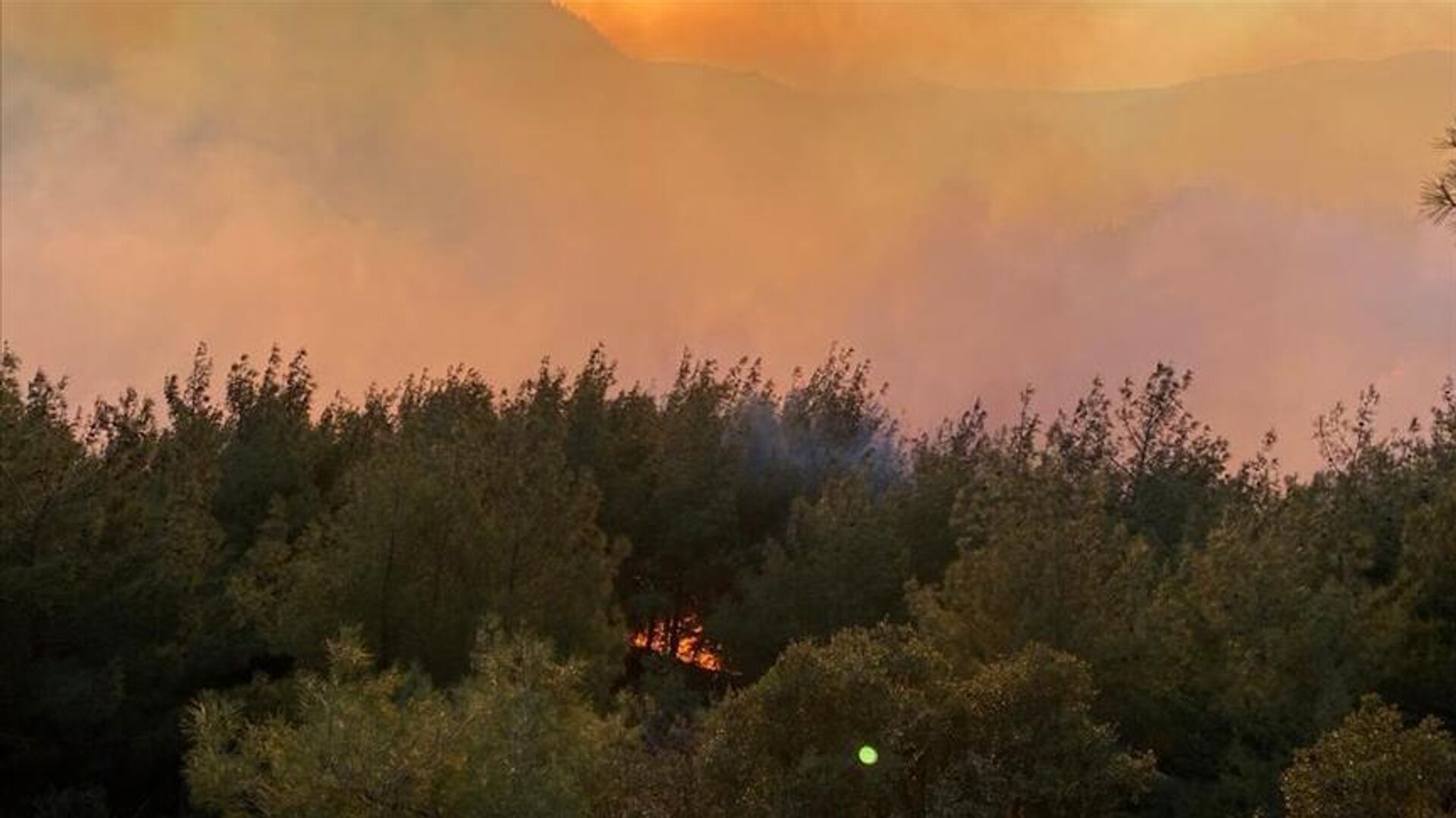 Osmaniye - orman yangını - Sputnik Türkiye, 1920, 01.01.2023