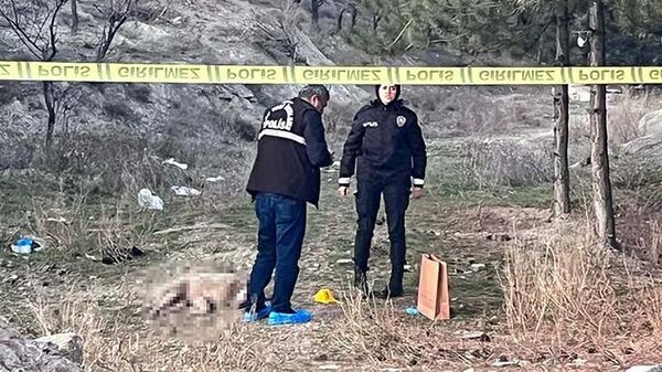 Ankara'da tüfekle vurulmuş 4 köpek ölüsü bulundu
 - Sputnik Türkiye
