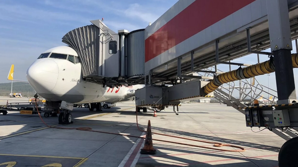 Sabiha Gökçen'de yolcu uçağı piste giren tavşana çarptı: İki uçak inemedi - Sputnik Türkiye