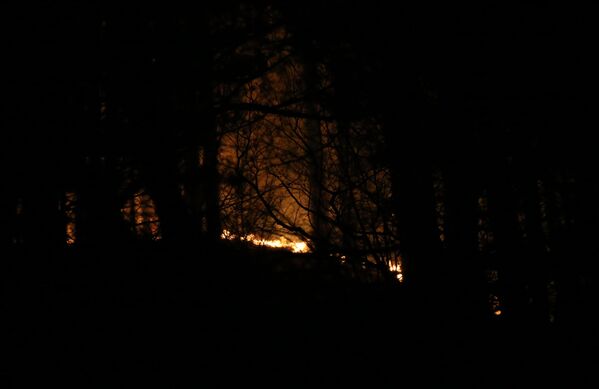 Kaz Dağları&#x27;nın Bayramiç ilçesi sınırlarındaki yangının kontrol altına alınması için müdahale sürüyor. - Sputnik Türkiye