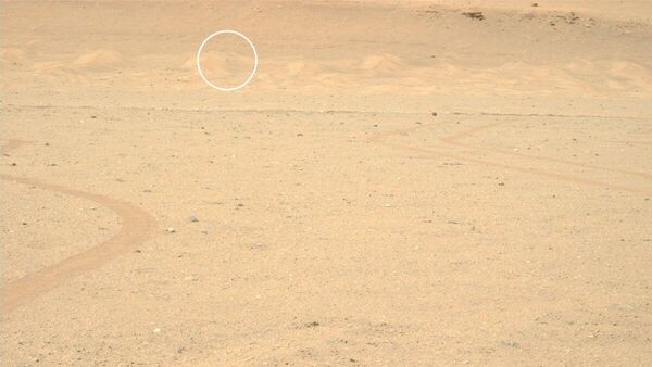 ABD Havacılık ve Uzay Ajansı'nın (NASA) Mars'taki Perseverance keşif aracı, mini helikopter Ingenuity'nin fotoğrafını çekti. - Sputnik Türkiye