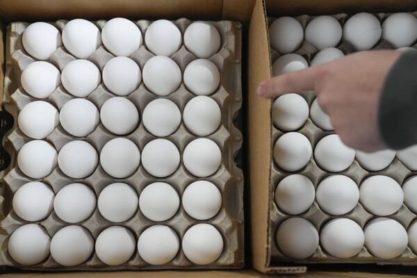 Geçen yıl aralık ayındaki Noel haftasında kabuklu yumurta fiyatları, 2022&#x27;nin başına kıyasla yüzde 267, bir önceki yılın aynı dönemine göre de yüzde 210 arttı.  Bir düzine toptan kabuklu yumurta fiyatı geçen yılın başında yaklaşık 1,5 dolar seviyesinde olurken, yıl sonunda 5 doların üzerine çıktı. Geçen yılın son haftasında stokların artmaya başlamasıyla yumurta fiyatlarında hafif düşüş kaydedildi. - Sputnik Türkiye