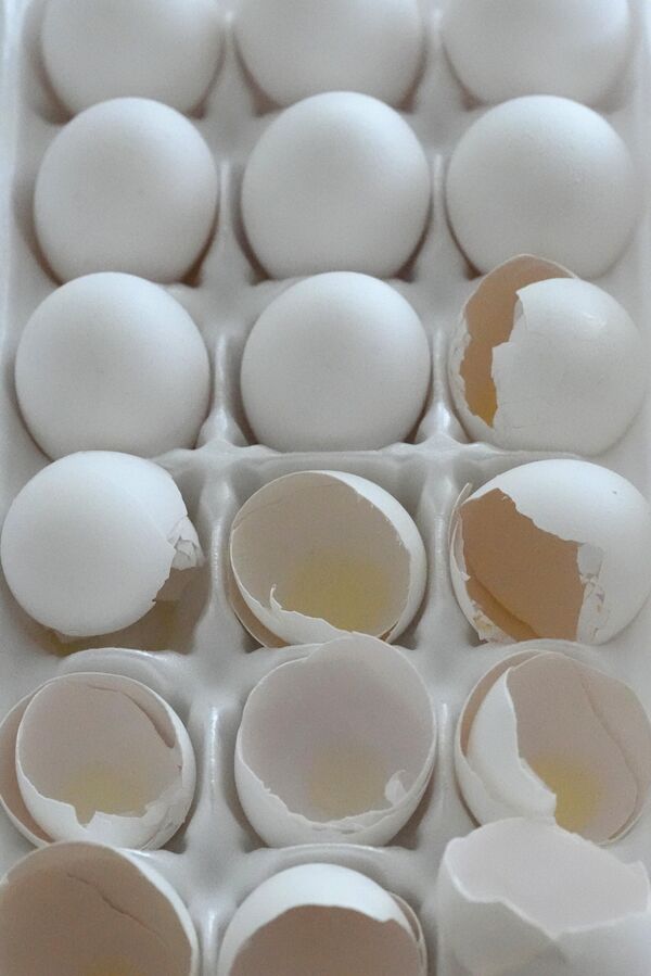 Tekrarlayan salgınlar nedeniyle yumurta arzında ciddi düşüşler kaydedilirken, ABD yumurta stokları, geçen ay 2022 başına göre yüzde 29 azaldı.  Kısıtlı arz, kasım-aralık aylarını kapsayan tatil sezonunda artan taleple birleşince toptan yumurta fiyatları yükseldi. Ayrıca, normalden daha düşük seviyede olan yumurta stokları, Noel haftasında fiyatların rekor seviyelere çıkmasına neden oldu. - Sputnik Türkiye