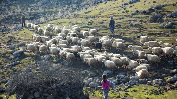 Diyarbakır'da susuz bir köy: Hayvancılığı bırakıp göçün eşiğine geldiler - Sputnik Türkiye