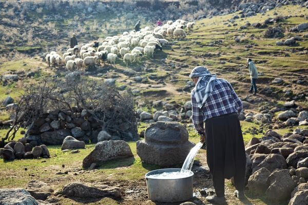 Diyarbakır'da susuz bir köy: Hayvancılığı bırakıp göçün eşiğine geldiler - Sputnik Türkiye