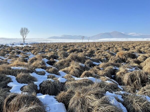 Ardahan'ın Göle ilçesi eksi 28 dereceyle Türkiye'nin en soğuk yerleşim yeri  - Sputnik Türkiye