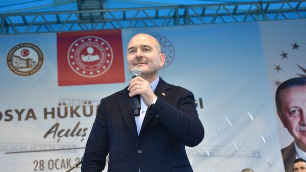  İçişleri Bakanı Süleyman Soylu - Sputnik Türkiye