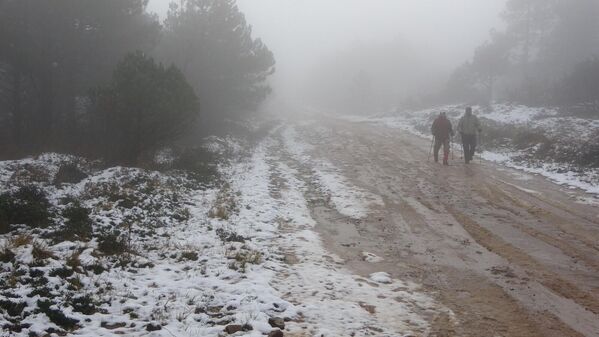 Meteoroloji Genel Müdürlüğü tarafından yapılan uyarılar sonrası İstanbul'un yüksek kesimlerinde kar yağışı başladı. - Sputnik Türkiye