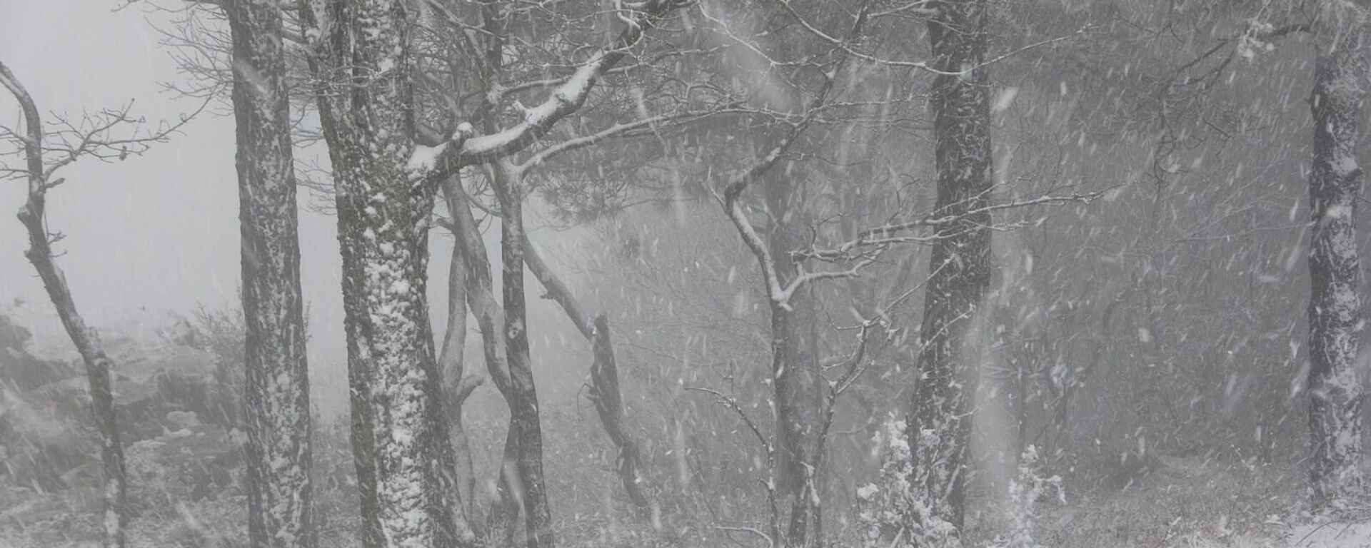 İstanbul- Kar - Sputnik Türkiye, 1920, 05.02.2023