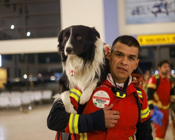 Meksika'nın meşhur arama kurtarma köpekleri deprem bölgesinde - Sputnik Türkiye