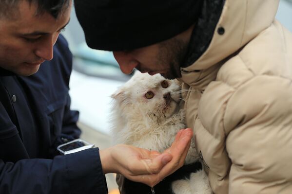Enkazdan çıkarılan 'diğer canlar' - Sputnik Türkiye