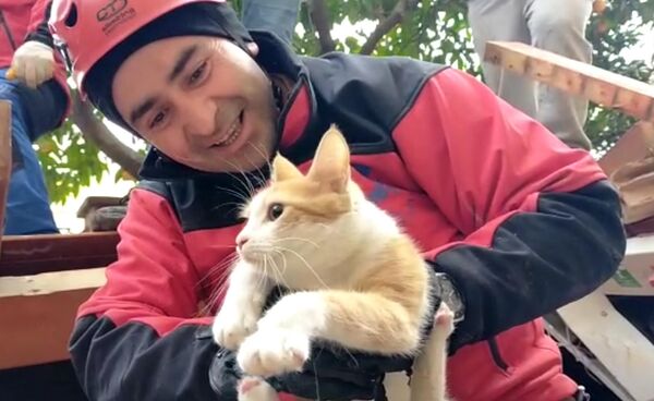 Enkazdan çıkarılan 'diğer canlar' - Sputnik Türkiye