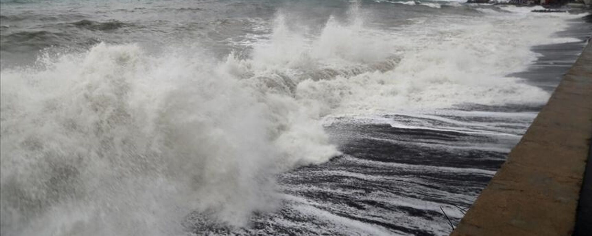 Rüzgar - Sputnik Türkiye, 1920, 14.08.2025