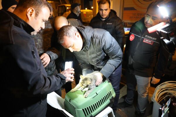 İtfaiye ekipleri tarafından kaldırılan 54 metrelik yangın ve kurtarma çalışmalarında kullanılan sepetli şnorkel kedinin bulunduğu noktaya ulaşamayınca kedi kurtarma operasyonunda helikopter kaldırıldı. - Sputnik Türkiye