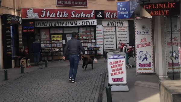 Sokak köpeği mağazadan pelüş oyuncak alıp kaçtı - Sputnik Türkiye