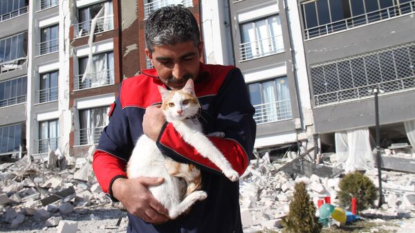 Kahramanmaraş merkezli yıkıcı depremlerin ardından en çok etkilenen iller arasında bulunan Malatya'da 14 katlı ağır hasarlı binada mahsur kalan kedi itfaiye ekipleri tarafından kurtarıldı. - Sputnik Türkiye