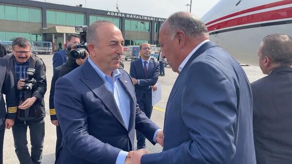 Mısır Dışişleri Bakanı Semih Şükri, Türkiye'de - Sputnik Türkiye