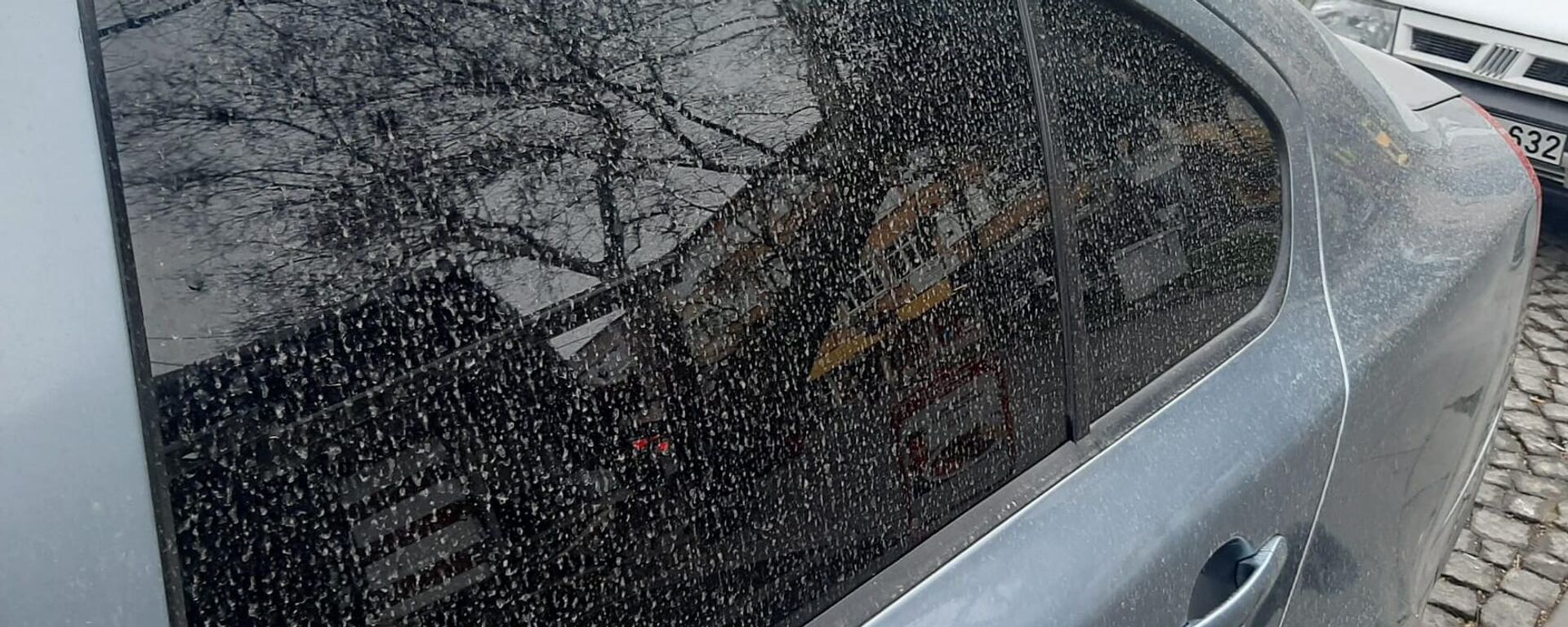 Tekirdağ'ın Süleymanpaşa ilçesinde toz taşınımı nedeniyle yağmurla birlikte çamur yağdı. - Sputnik Türkiye, 1920, 04.03.2024