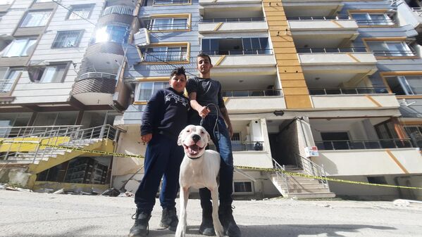 Kahraman köpek 'Dora', deprem anında kendisini siper etti, 2 çocuğu kurtardı - Sputnik Türkiye