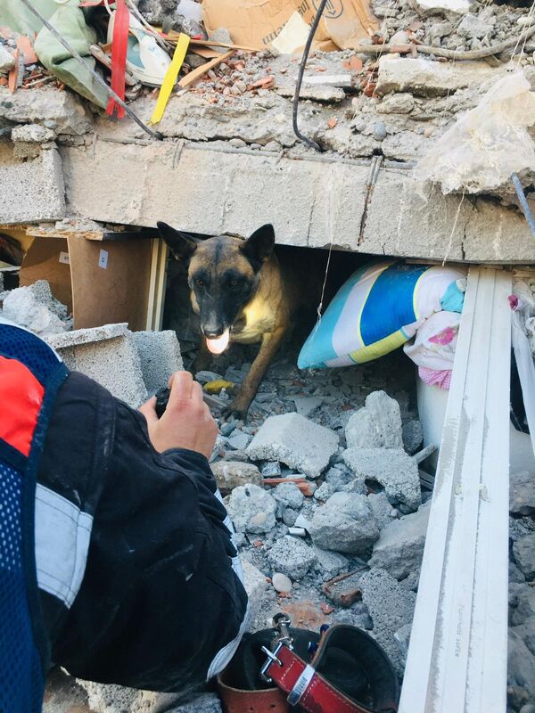 Karaman İl Jandarma Komutanlığı Arama Kurtarma Köpek Eğitmeni Jandarma Uzman Çavuş Cüneyt Acar,  depremin hemen ardından kendilerine görev emri geldiğini, eğitmen arkadaşı Serdar Küçük ve Tabu ile Diyarbakır&#x27;a gittiklerini söyledi. - Sputnik Türkiye