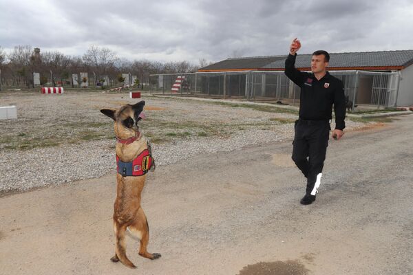 Burada iki gün görev yaptıklarını aktaran Acar, &quot;Köpeğimizin enkazda ayağı kesildi. Yaralanınca ayağına 5 dikiş atıldı. Yaralı olmasına rağmen çalışmalarımız devam etti. Sonrasında Adıyaman&#x27;a görevlendirildik. Yorulmadan enkazda canlı tespit etmeye çalıştık&quot; dedi. - Sputnik Türkiye