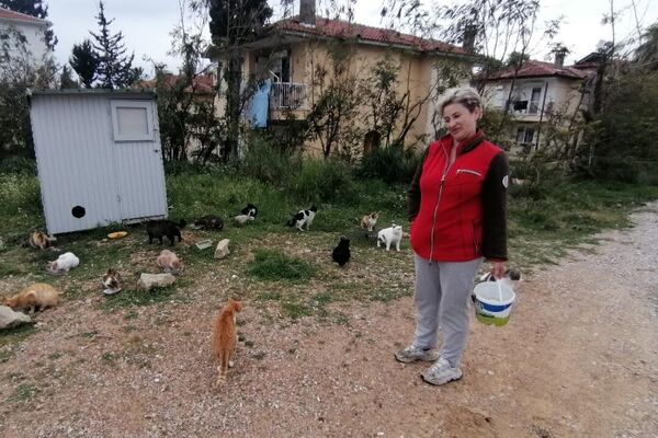 Rus uyruklu Türk vatandaşı hayvansever kadın, sokağa terk edilen sahipsiz kedilerle gönüllü olarak ilgileniyor.  - Sputnik Türkiye