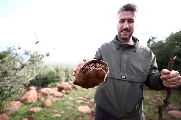 Hatay'da depremde oluşan yarıkta mahsur kalan iki kaplumbağa kurtarıldı - Sputnik Türkiye