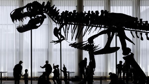 İsviçre'de dev dinozor iskeleti açık artırmaya çıkarılacak - Sputnik Türkiye