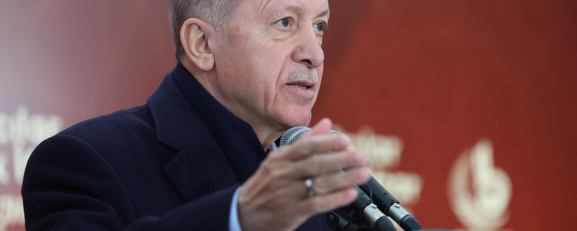 Cumhurbaşkanı Recep Tayyip Erdoğan - Sputnik Türkiye, 1920, 03.04.2023