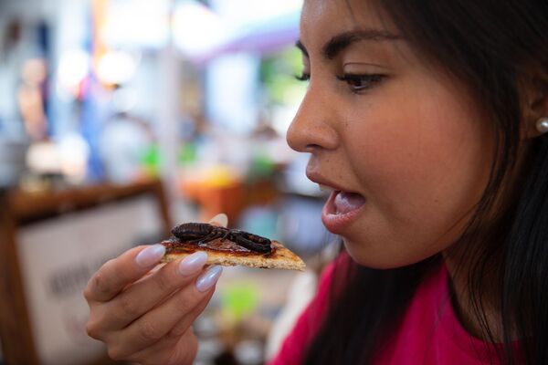 Meksika&#x27;nın başkenti Meksiko’da düzenlenen Bichopolis Böcek Festivali&#x27;nde içeceklerle birlikte satışa çıkarılan ölü veya canlı eklem bacaklılar türlerinden biri olan akrepler ve tıslayan hamam böcekleri yoğun ilgi gördü. - Sputnik Türkiye