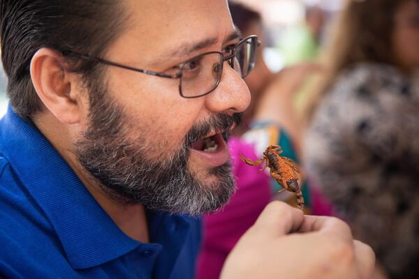 Diğer taraftan, Bichopolis Böcek Yemeği Festivali&#x27;ne katılanlar, böcek yemeklerinin tadına bakma fırsatı buldukları gibi, aynı zamanda böcek yemekleri yapımı hakkında bilgi edindi. - Sputnik Türkiye