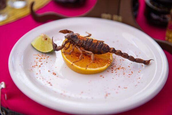 Öte yandan, Bichopolis Böcek Yemeği Festivali, Meksika&#x27;daki sürdürülebilir gıda hareketine katkıda bulunuyor ve böcek yemeği kültürünü yaygınlaştırmayı amaçlıyor. - Sputnik Türkiye