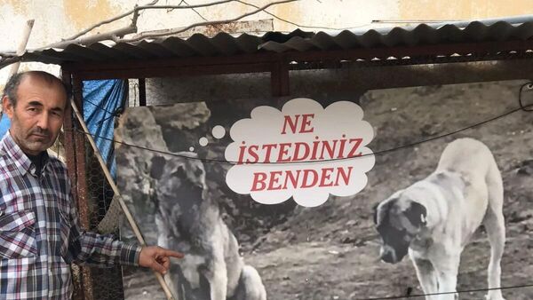 Köpeği zehirlenen Berber Süleyman Hasırcı - Sputnik Türkiye