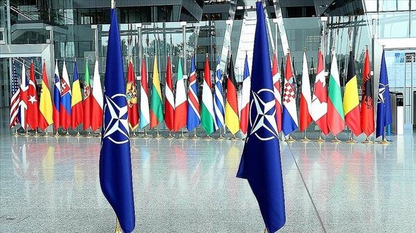 Türkiye, Finlandiya'nın NATO üyeliğinin onaylandığı belgeyi ABD'ye teslim etti - Sputnik Türkiye