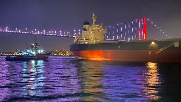 Kıyı Emniyeti Genel Müdürlüğü, İstanbul Kadıköy açıklarında dümen arızası bulunan dökme yük gemisinin kurtarıldığını duyurdu. - Sputnik Türkiye