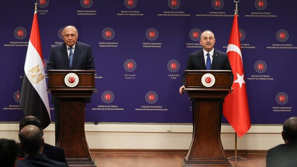Dışişleri Bakanı Mevlüt Çavuşoğlu ve Mısır Dışişleri Bakanı Semih Şükri - Sputnik Türkiye