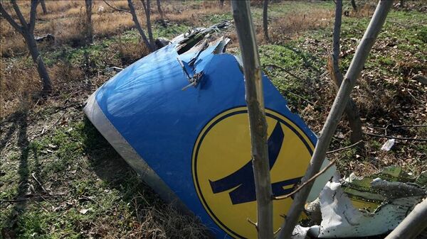 İran'da 176 kişinin öldüğü Ukrayna uçağının vurulduğu füzeleri ateşleyen Tor-M1 hava savunma sistemi komutanı olduğu belirtilen davanın birinci derece sanıklarından ismi açıklanmayan bir komutan 13 yıl hapse mahkum edildi. - Sputnik Türkiye
