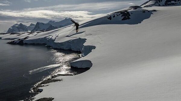 'Buzlar kıtası' Antarktika'da alarm: Bu yıl rekor seviyede eriyor - Sputnik Türkiye