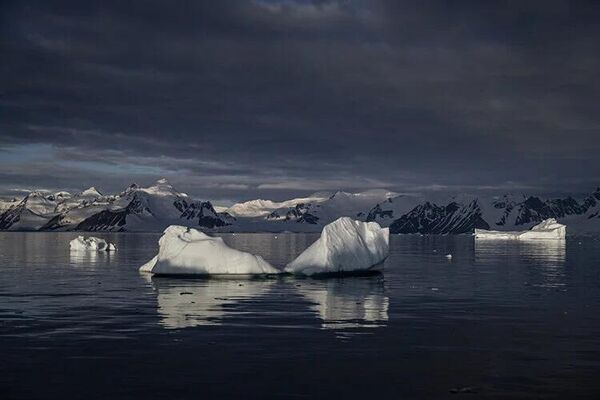 'Buzlar kıtası' Antarktika'da alarm: Bu yıl rekor seviyede eriyor - Sputnik Türkiye