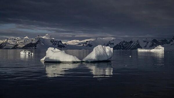 'Buzlar kıtası' Antarktika'da alarm: Bu yıl rekor seviyede eriyor - Sputnik Türkiye