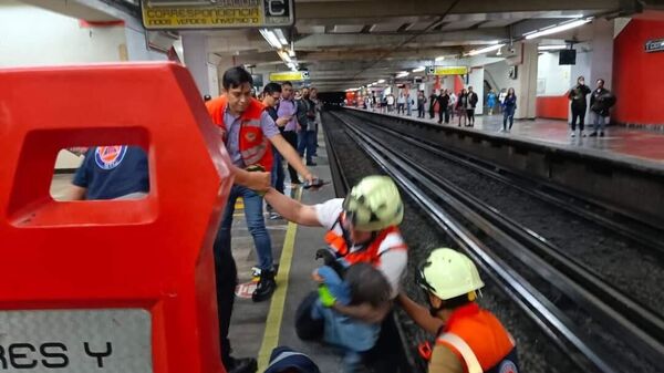 Meksika'nın başkenti Mexico City'de raylara giren tavuk nedeniyle metro seferleri aksadı. - Sputnik Türkiye