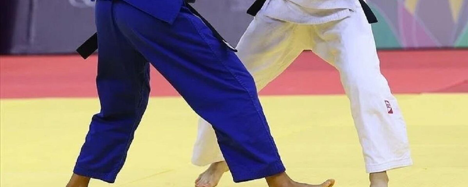 Judo - Sputnik Türkiye, 1920, 03.11.2025