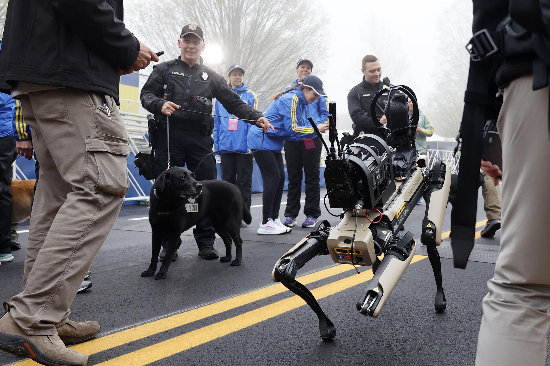 robot polis köpeği - Sputnik Türkiye, 1920, 28.10.2024