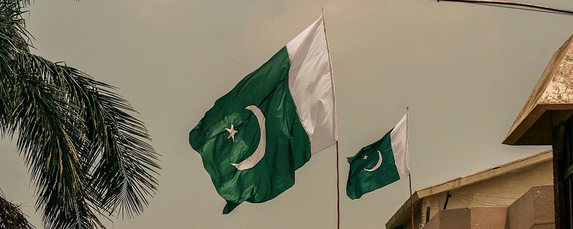 Pakistan Flag in air - Sputnik Türkiye, 1920, 20.01.2024
