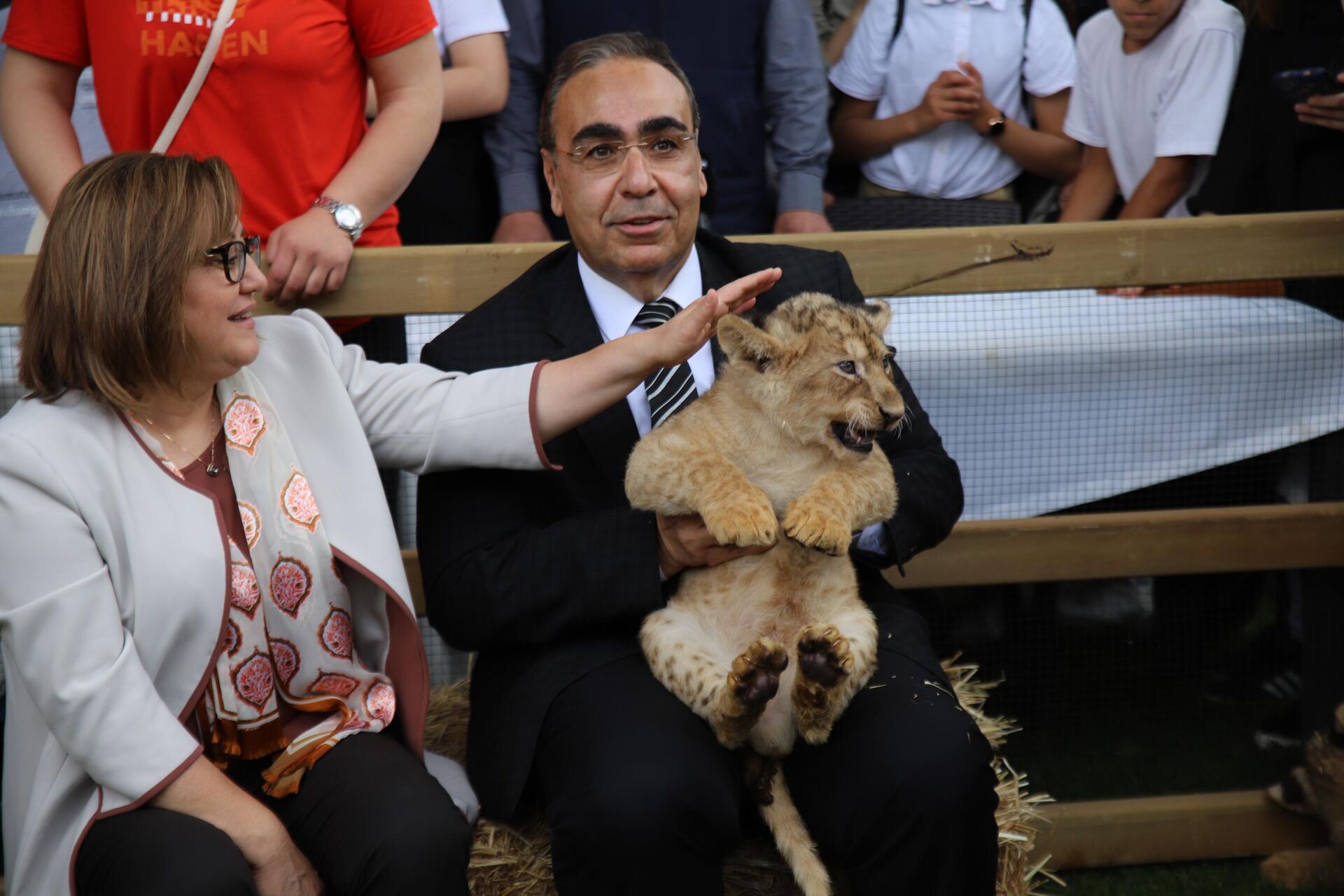 Sudan Cumhurbaşkanı tarafından 4 yıl önce Cumhurbaşkanı Recep Tayyip Erdoğan'a hediye edilen ve Gaziantep Hayvanat Bahçesinde bulunan 4 aslandan biri dördüz doğurdu. - Sputnik Türkiye, 1920, 31.05.2023