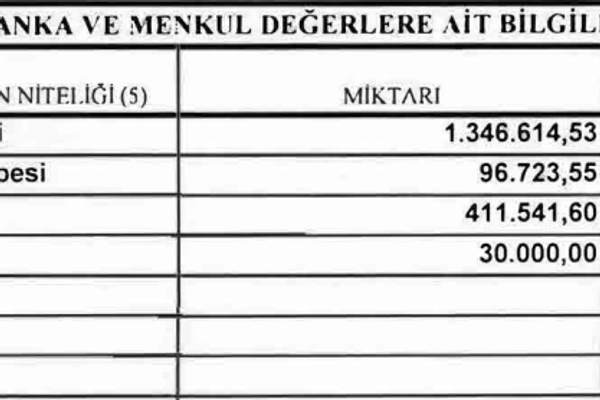Cumhurbaşkanı Erdoğan&#x27;ın yayımlanan mal varlığında banka ve menkul değerlere ait bilgiler yer aldı.  - Sputnik Türkiye