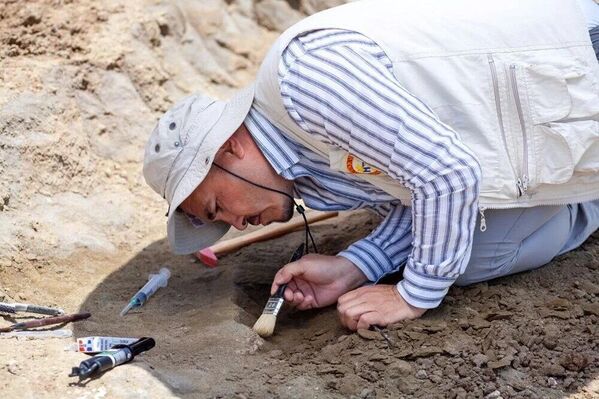 28 milyon yıllık dev gergedan fosiline ait yeni kemikler bulundu - Sputnik Türkiye